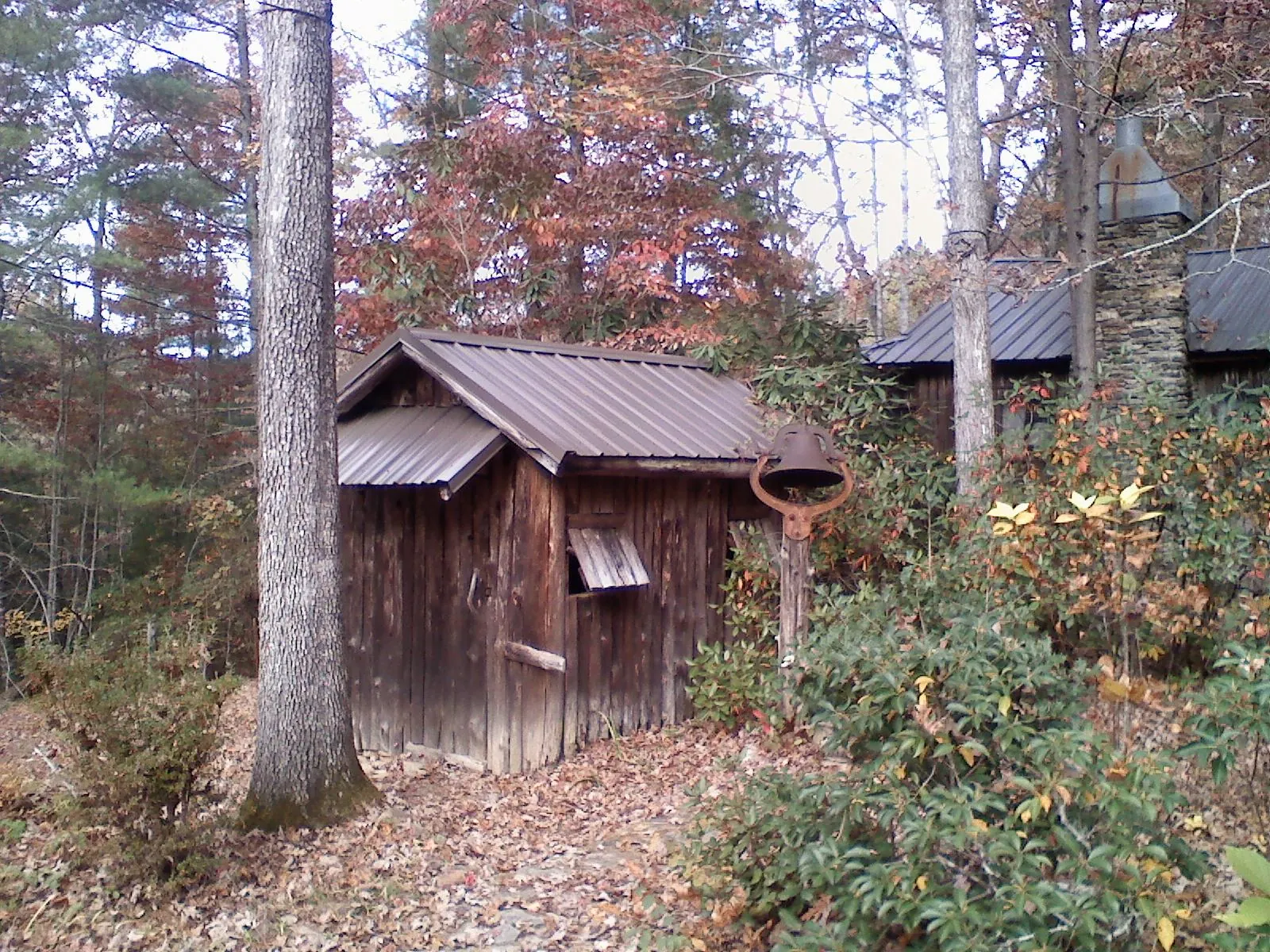 Small metal roof on a rough sawn shed in the woods in Seal Beach